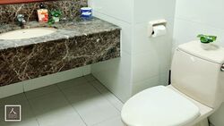 Parc Oasis (D22), Condominium #537762431